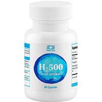 H-500