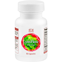 LymFlow